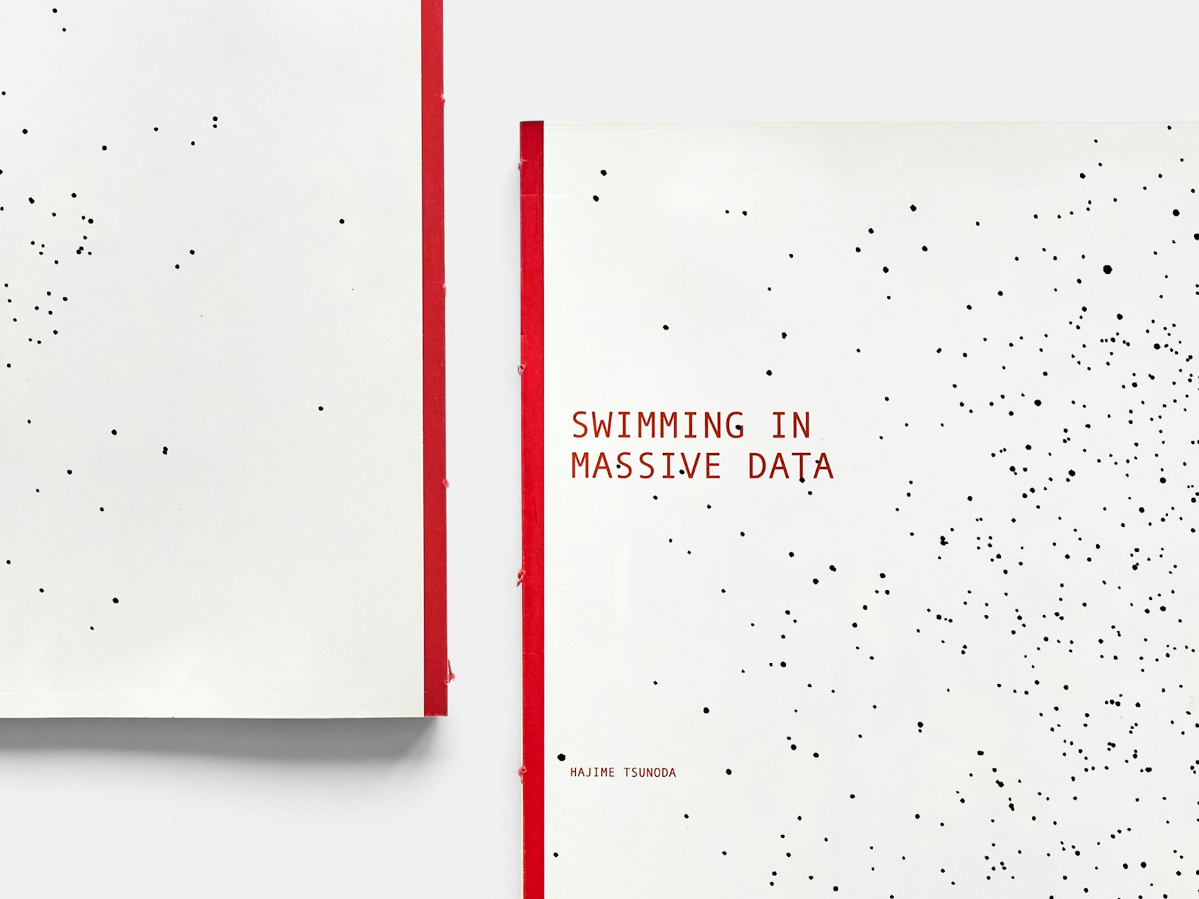 Swimming in Massive Data の画像 2